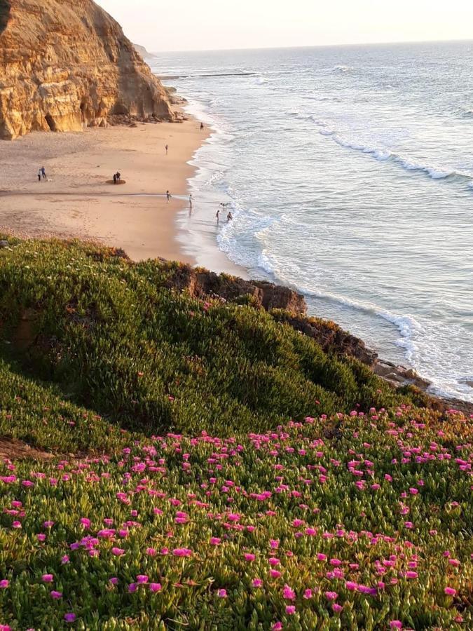 plage et forêt Pobral Exterior foto
